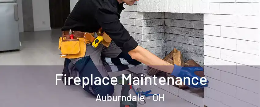 Fireplace Maintenance Auburndale - OH