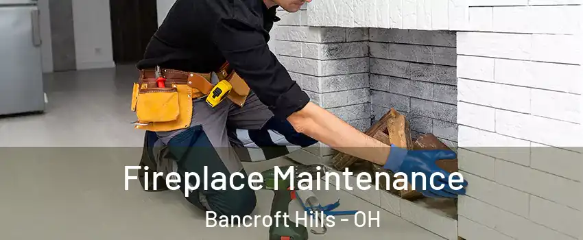 Fireplace Maintenance Bancroft Hills - OH