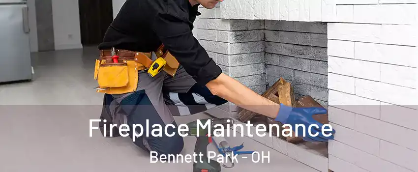 Fireplace Maintenance Bennett Park - OH