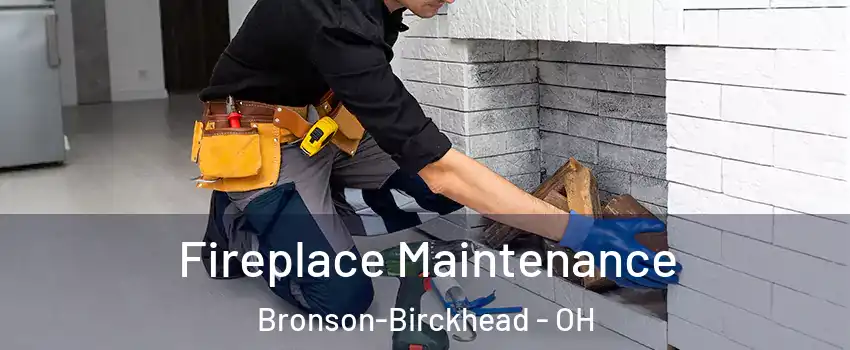 Fireplace Maintenance Bronson-Birckhead - OH