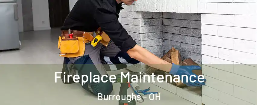 Fireplace Maintenance Burroughs - OH