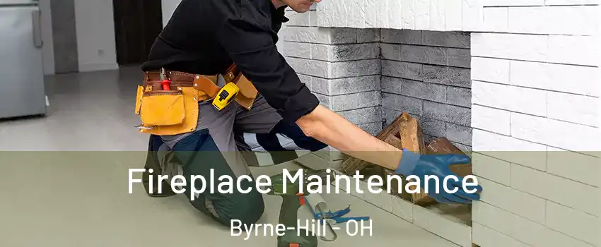 Fireplace Maintenance Byrne-Hill - OH