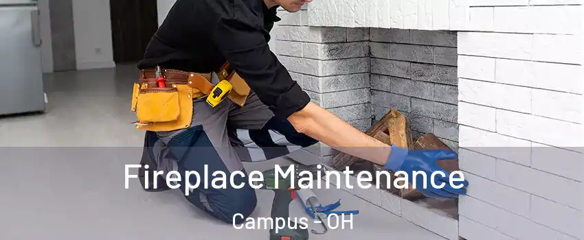 Fireplace Maintenance Campus - OH