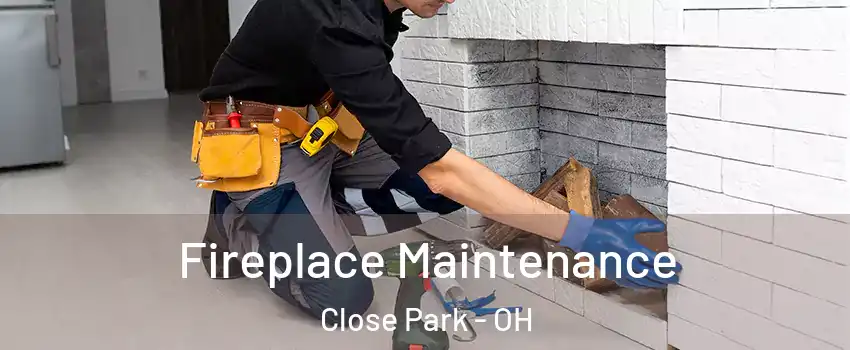 Fireplace Maintenance Close Park - OH