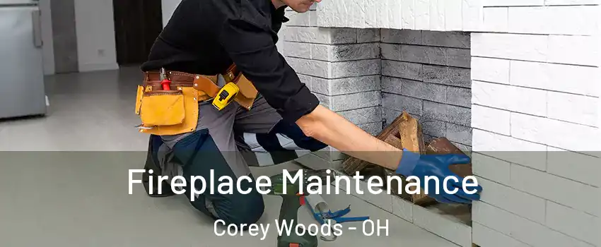 Fireplace Maintenance Corey Woods - OH