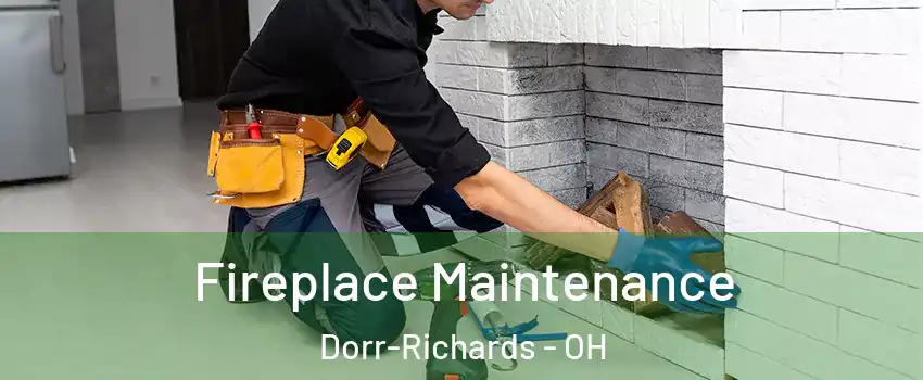 Fireplace Maintenance Dorr-Richards - OH