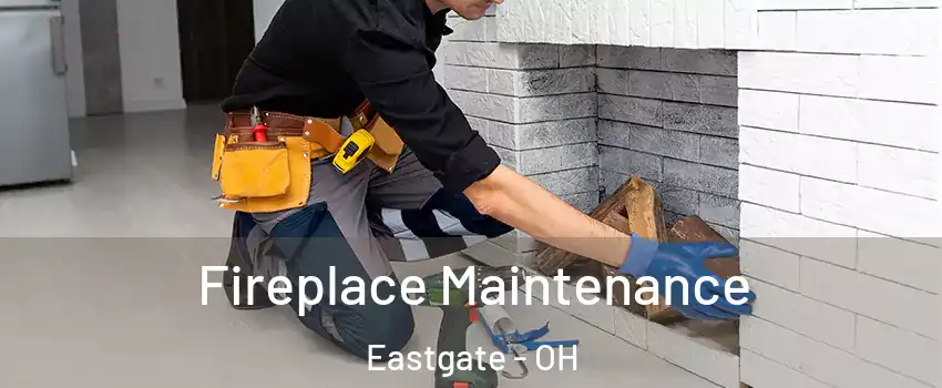 Fireplace Maintenance Eastgate - OH