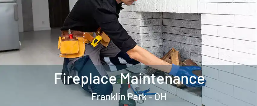 Fireplace Maintenance Franklin Park - OH