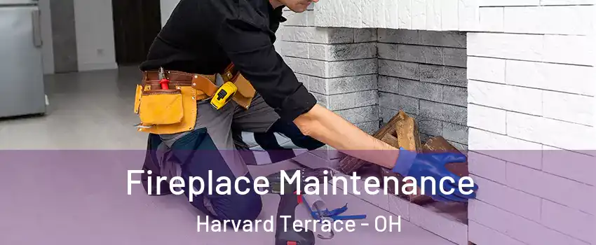 Fireplace Maintenance Harvard Terrace - OH