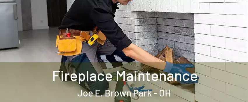 Fireplace Maintenance Joe E. Brown Park - OH