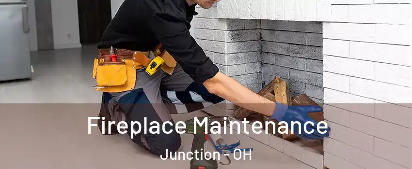 Fireplace Maintenance Junction - OH