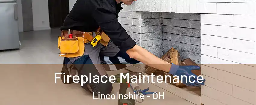 Fireplace Maintenance Lincolnshire - OH