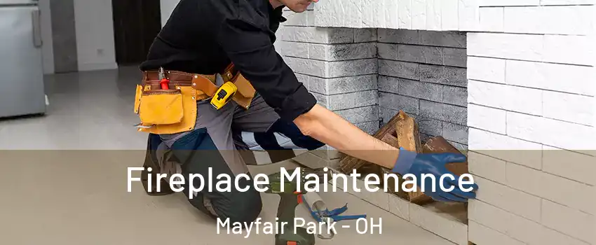 Fireplace Maintenance Mayfair Park - OH