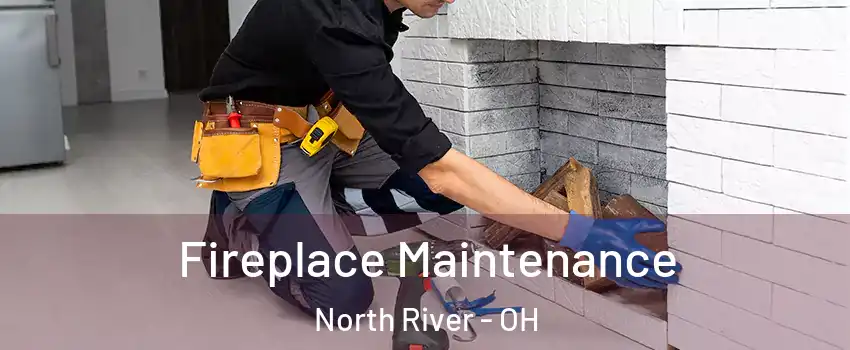 Fireplace Maintenance North River - OH