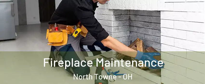 Fireplace Maintenance North Towne - OH