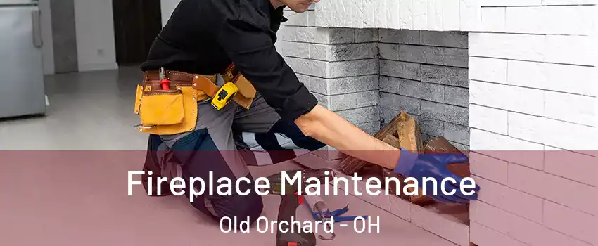Fireplace Maintenance Old Orchard - OH