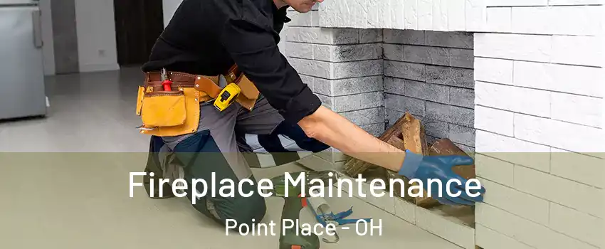 Fireplace Maintenance Point Place - OH