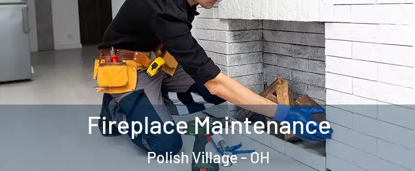 Fireplace Maintenance Polish Village - OH