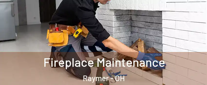 Fireplace Maintenance Raymer - OH