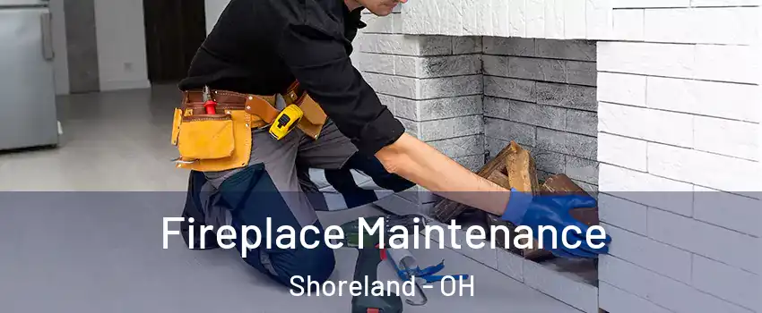 Fireplace Maintenance Shoreland - OH