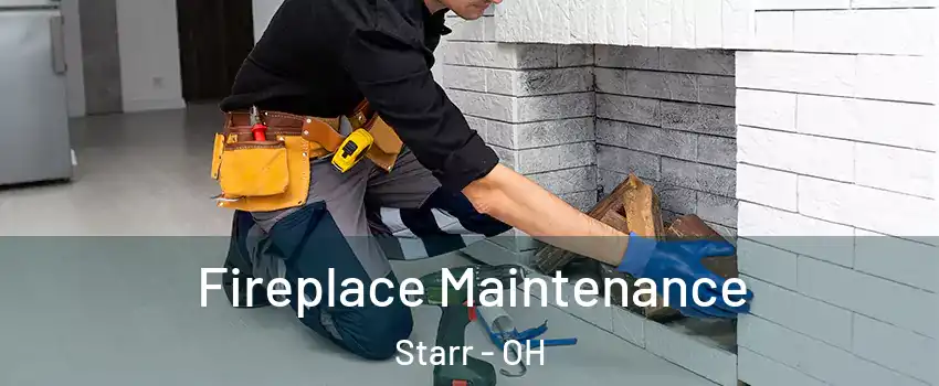 Fireplace Maintenance Starr - OH