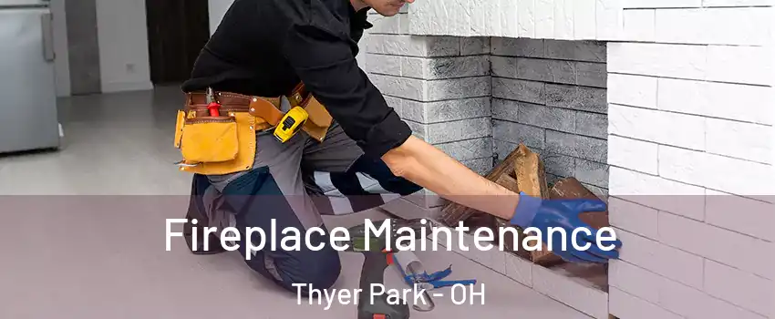 Fireplace Maintenance Thyer Park - OH
