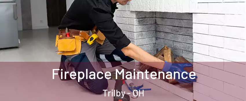 Fireplace Maintenance Trilby - OH