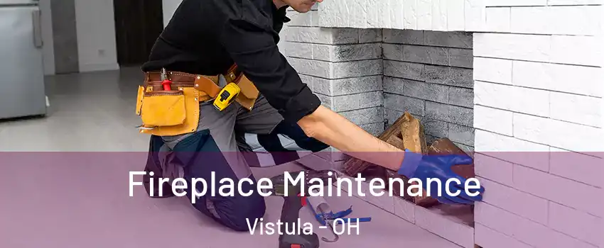 Fireplace Maintenance Vistula - OH