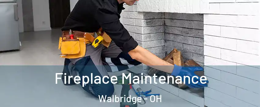Fireplace Maintenance Walbridge - OH