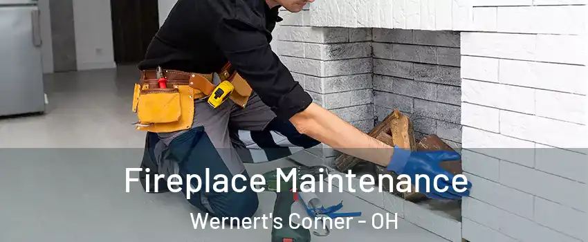 Fireplace Maintenance Wernert's Corner - OH
