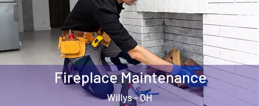 Fireplace Maintenance Willys - OH