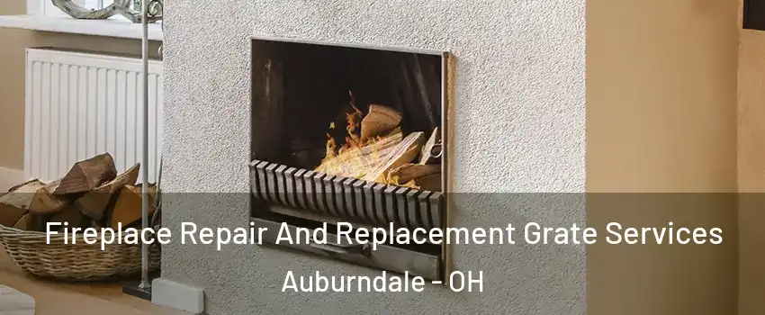 Fireplace Repair And Replacement Grate Services Auburndale - OH