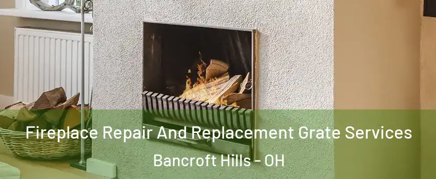 Fireplace Repair And Replacement Grate Services Bancroft Hills - OH