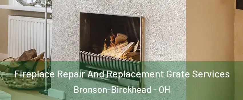 Fireplace Repair And Replacement Grate Services Bronson-Birckhead - OH
