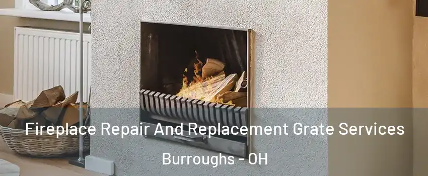 Fireplace Repair And Replacement Grate Services Burroughs - OH