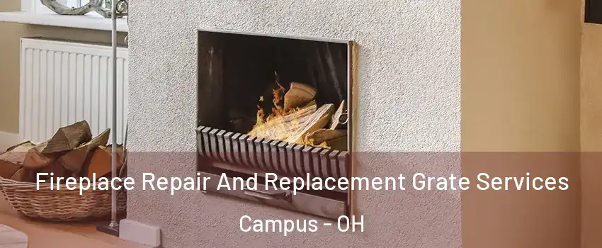 Fireplace Repair And Replacement Grate Services Campus - OH