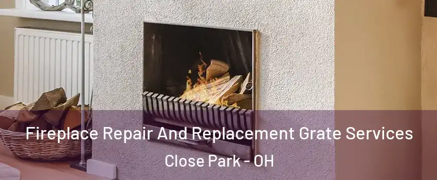 Fireplace Repair And Replacement Grate Services Close Park - OH