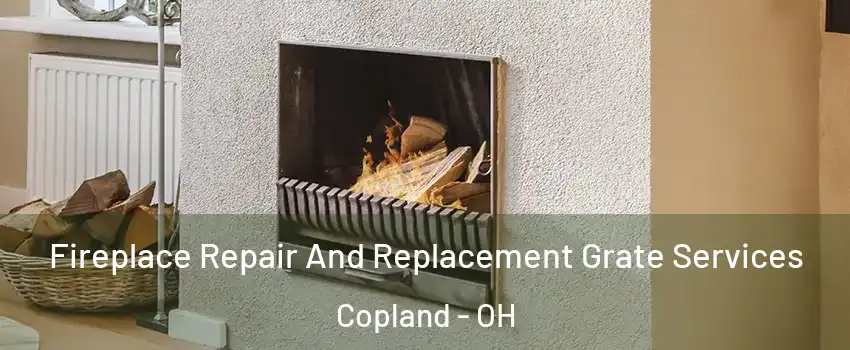 Fireplace Repair And Replacement Grate Services Copland - OH