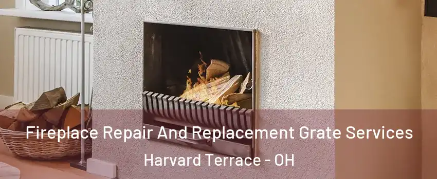 Fireplace Repair And Replacement Grate Services Harvard Terrace - OH