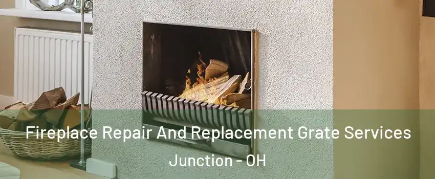 Fireplace Repair And Replacement Grate Services Junction - OH
