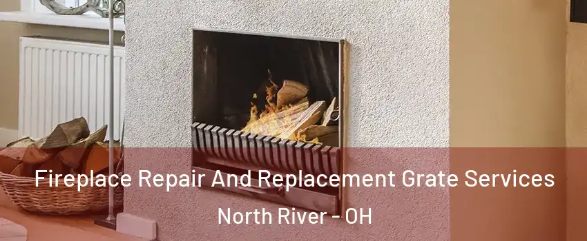 Fireplace Repair And Replacement Grate Services North River - OH