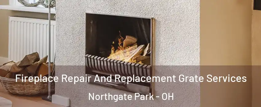 Fireplace Repair And Replacement Grate Services Northgate Park - OH