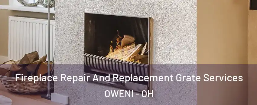 Fireplace Repair And Replacement Grate Services OWENI - OH