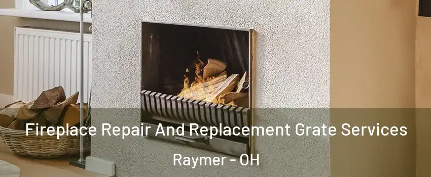 Fireplace Repair And Replacement Grate Services Raymer - OH