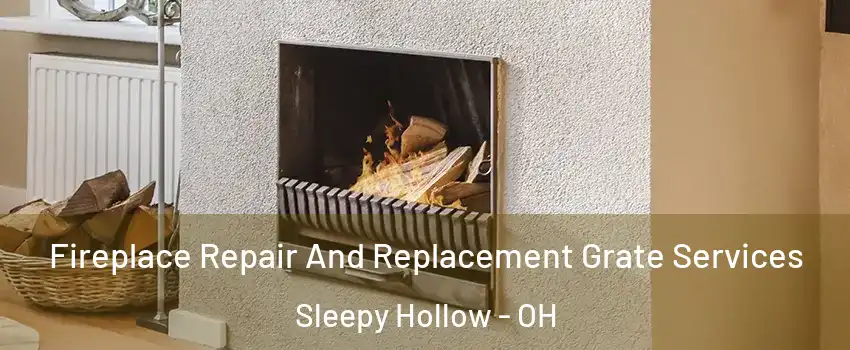 Fireplace Repair And Replacement Grate Services Sleepy Hollow - OH