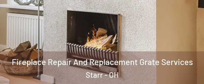 Fireplace Repair And Replacement Grate Services Starr - OH