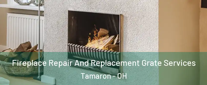 Fireplace Repair And Replacement Grate Services Tamaron - OH