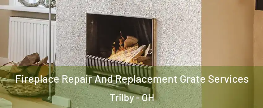 Fireplace Repair And Replacement Grate Services Trilby - OH