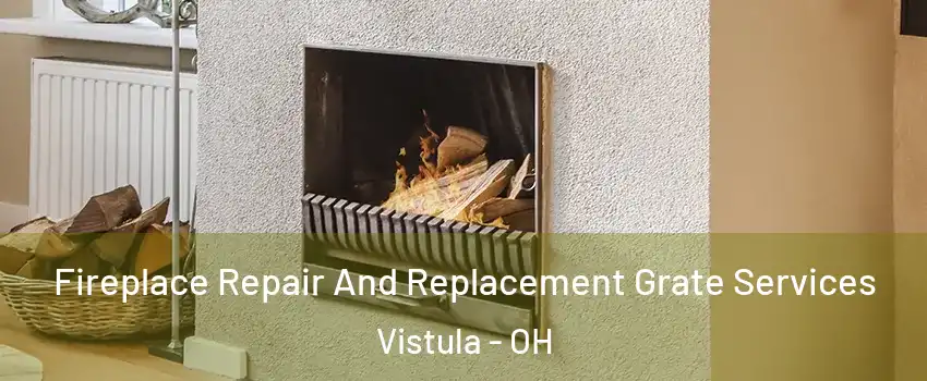 Fireplace Repair And Replacement Grate Services Vistula - OH
