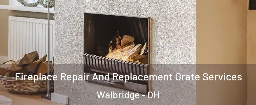 Fireplace Repair And Replacement Grate Services Walbridge - OH